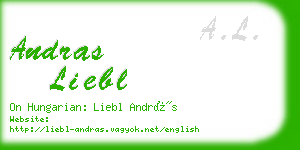 andras liebl business card